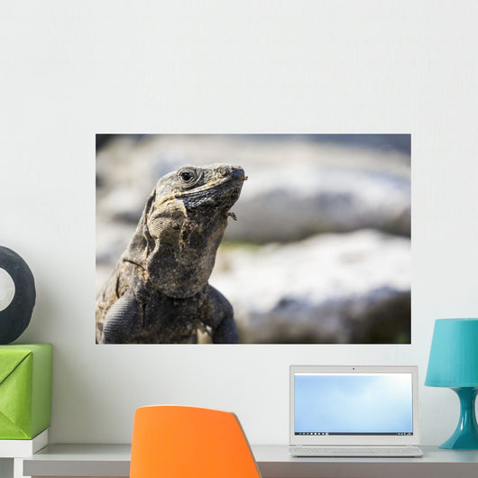 Up Lizard Wall Decal
