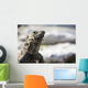 Up Lizard Wall Decal