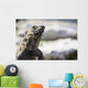Up Lizard Wall Decal