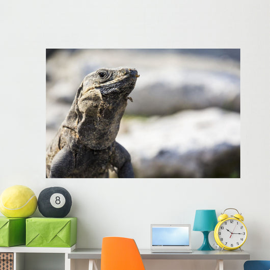 Up Lizard Wall Decal