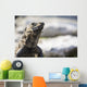 Up Lizard Wall Decal