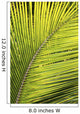 Up Palm Tree Branch Wall Decal