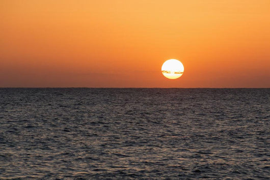 Glowing Sun over Ocean Wall Decal