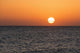 Glowing Sun over Ocean Wall Decal