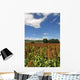 Planting Sorghum Sorghum Wall Mural