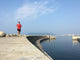 Man running along harbor sea wall Wall Mural