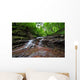 Landscape Wall Mural