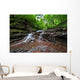 Landscape Wall Mural