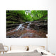 Landscape Wall Mural
