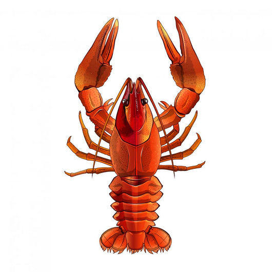 Red Lobster Illustration Wall Mural