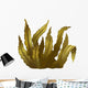 Sea Kelp, Isolated Illustration Wall Decal