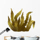 Sea Kelp, Isolated Illustration Wall Decal