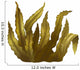 Sea Kelp, Isolated Illustration Wall Decal