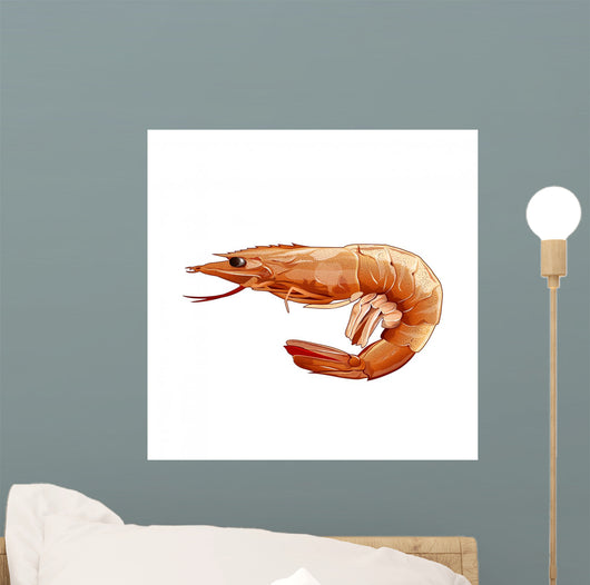Pink Shrimp Illustration Wall Mural