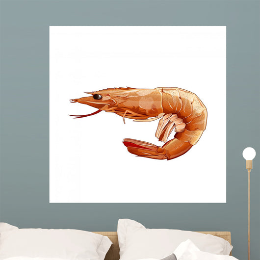 Pink Shrimp Illustration Wall Mural