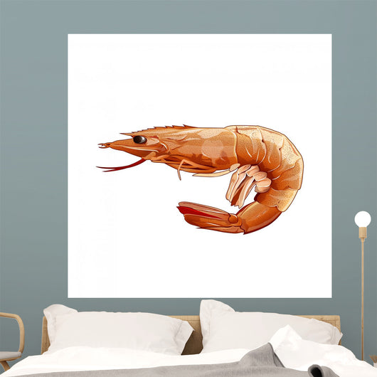 Pink Shrimp Illustration Wall Mural