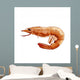 Pink Shrimp Illustration Wall Mural