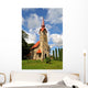 Landscape Wall Mural