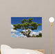 Bonsa Japonais Wall Mural