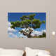 Bonsa Japonais Wall Mural