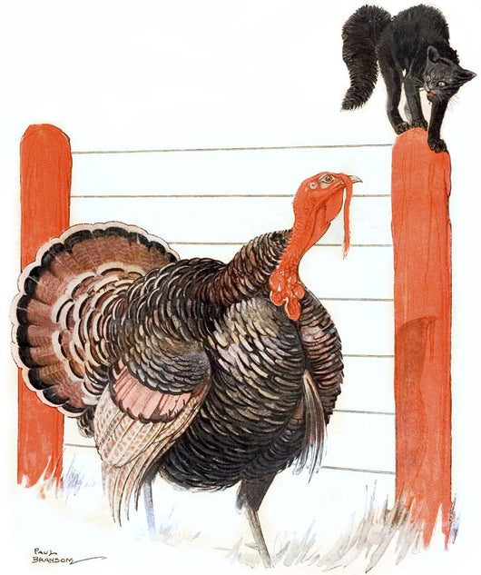 Cover Country Gentleman Agricultural Wall Decal Design 39