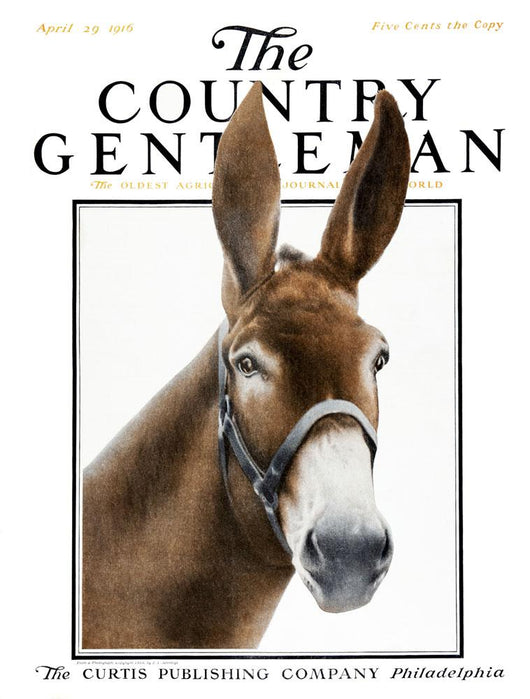 Cover Country Gentleman Agricultural Wall Decal Design 28