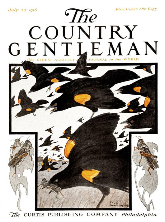 Cover Country Gentleman Agricultural Wall Decal Design 17