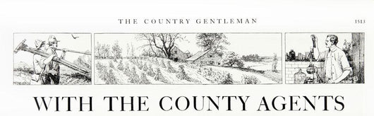 Comic Strip Country Gentleman Wall Decal Design 2