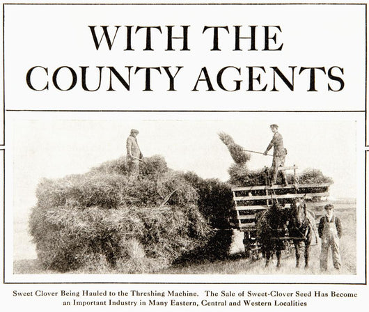 Advertisement Country Gentleman Agricultural Wall Decal