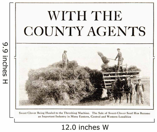 Advertisement Country Gentleman Agricultural Wall Decal