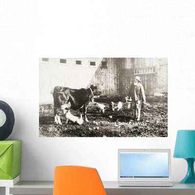 Historic Photograph Piglet Nursing Wall Decal shown on a wall