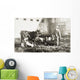 Historic Photograph Piglet Nursing Wall Decal