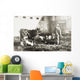 Historic Photograph Piglet Nursing Wall Decal