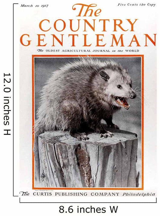 Cover Country Gentleman Agricultural Wall Decal Design 3