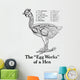 Historic Anatomical Illustration Hens Wall Mural