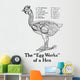 Historic Anatomical Illustration Hens Wall Mural