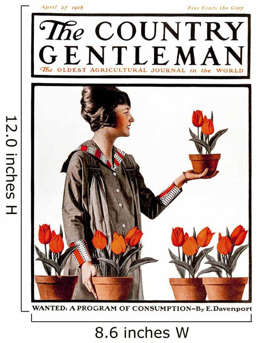 Cover of Country Gentleman agricultural magazine Wall Mural
