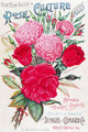 Historic Dingee and Conard Co rose bulb and seed catalog Wall Mural