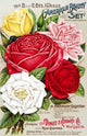 Dingee and Conard Co rose bulb and seed catalog from 19th century Wall Mural
