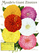 Historic Maule's seed catalog Wall Mural