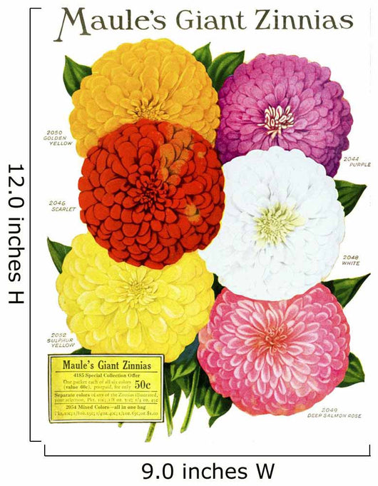 Historic Maule's seed catalog Wall Mural