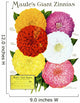 Historic Maule's seed catalog Wall Mural