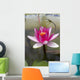 Water lily in the Humble Administrator's Garden Wall Mural