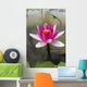 Water lily in the Humble Administrator's Garden Wall Mural