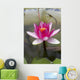 Water lily in the Humble Administrator's Garden Wall Mural
