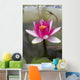 Water lily in the Humble Administrator's Garden Wall Mural