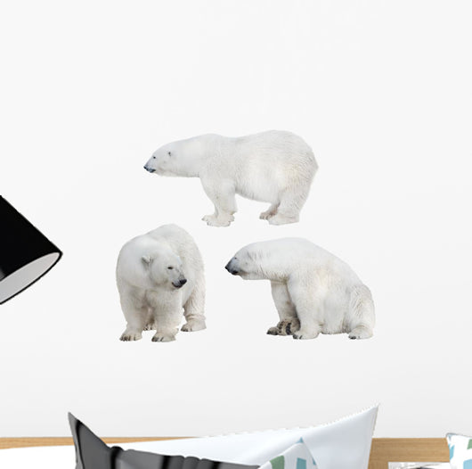 Three White Polar Bears Wall Decal Sticker Set