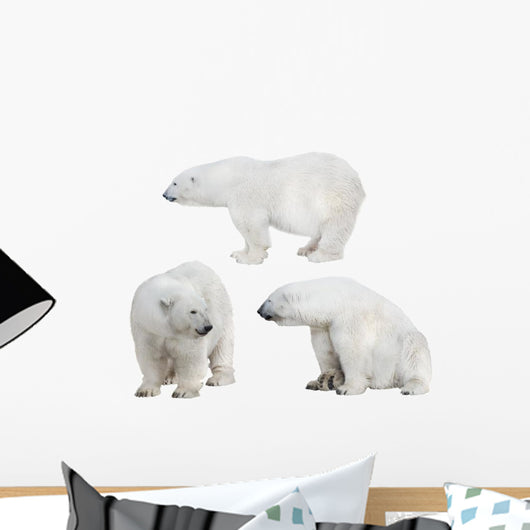 Three White Polar Bears Wall Decal Sticker Set