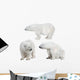 Three White Polar Bears Wall Decal Sticker Set