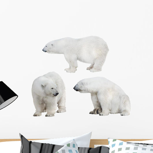 Three White Polar Bears Wall Decal Sticker Set